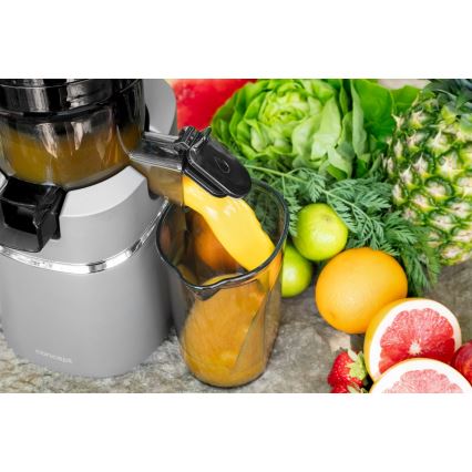Concept LO7120 - Sokovnik za hladno prešanje JUICY 250W/230V siva
