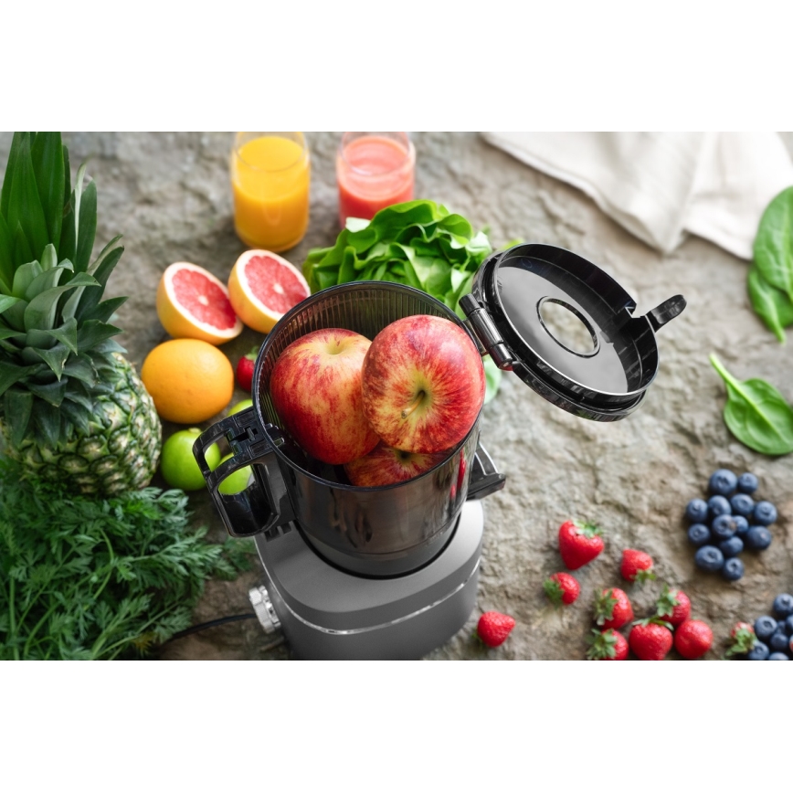 Concept LO7120 - Sokovnik za hladno prešanje JUICY 250W/230V siva