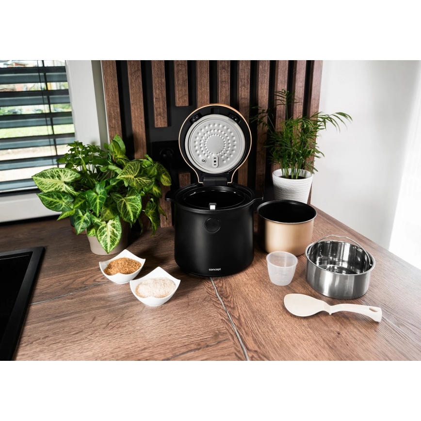 Concept RE4040 - Digitalno kuhalo za rižu 2 u 1 450W/230V 2 l crno/drveni dekor