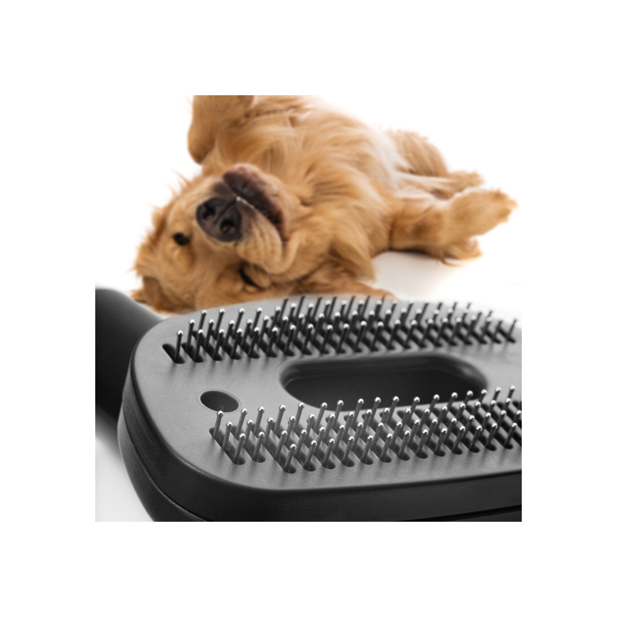 Concept VP5240N - Usisivač bez vrećice 4A RADICAL PET EXPERT 2,5 l 800W/230V bronca