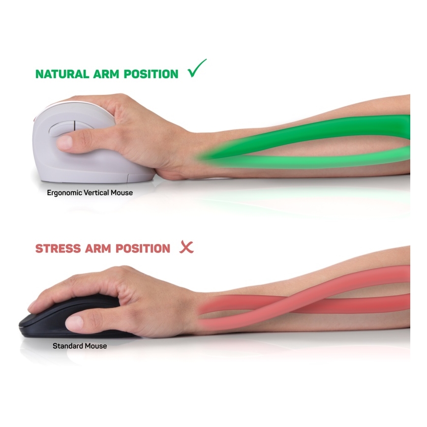 CONNECT IT CMO-2700-WH - Ergonomski bežični miš 800/1200/1600 DPI 1xAA bijela