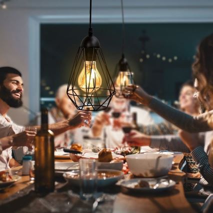 Crni luster na sajli 1x E27/40W/230V