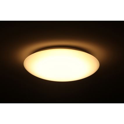 Dalen DL-C205T - LED stropna svjetiljka za prigušivanje SMART LED LED/25W/230V