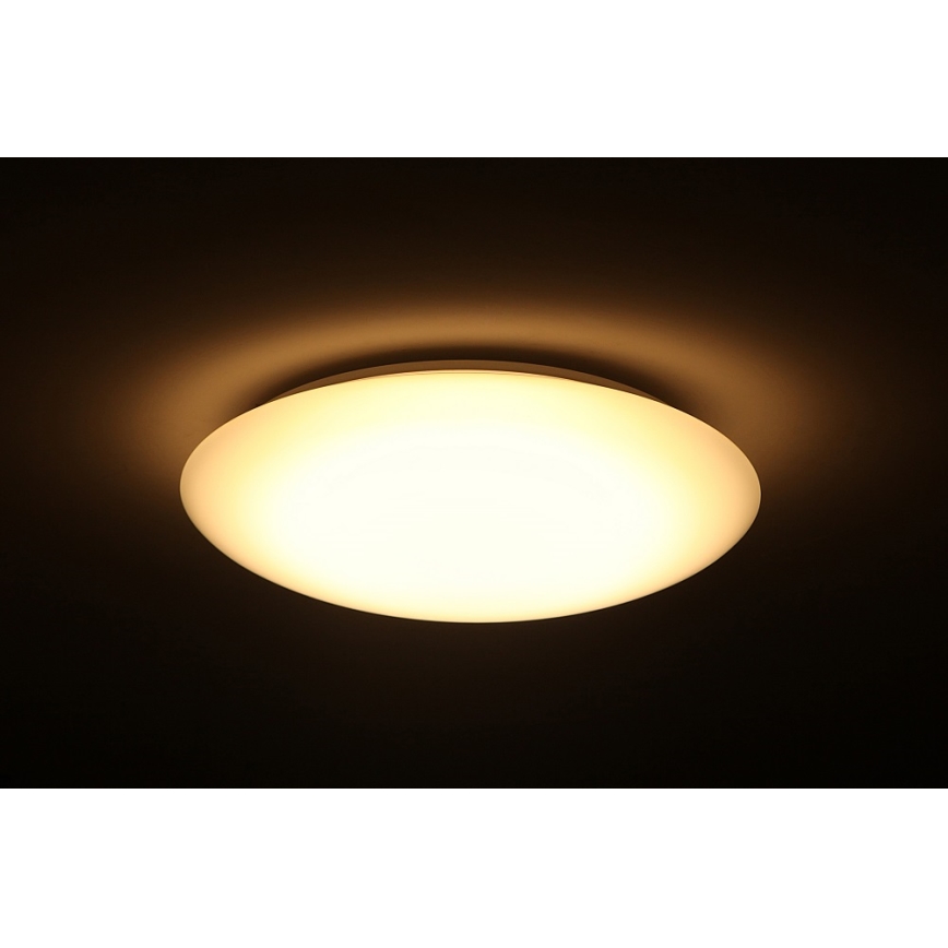 Dalen DL-C205T - LED stropna svjetiljka za prigušivanje SMART LED LED/25W/230V