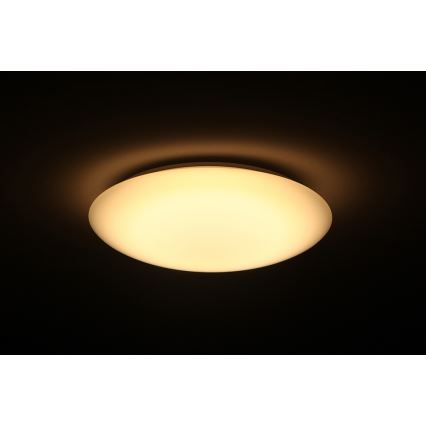 Dalen DL-C205T - LED stropna svjetiljka za prigušivanje SMART LED LED/25W/230V