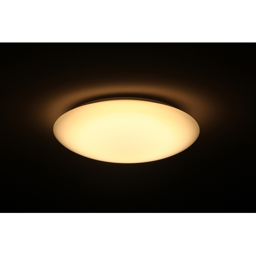 Dalen DL-C205T - LED stropna svjetiljka za prigušivanje SMART LED LED/25W/230V