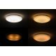 Dalen DL-C415TXW - LED stropna svjetiljka za prigušivanje STAR SKY LED/38W/230V