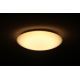 DALEN DL-C515TXW - LED stropna svjetiljka za prigušivanje SMART 1xLED/56W/230V