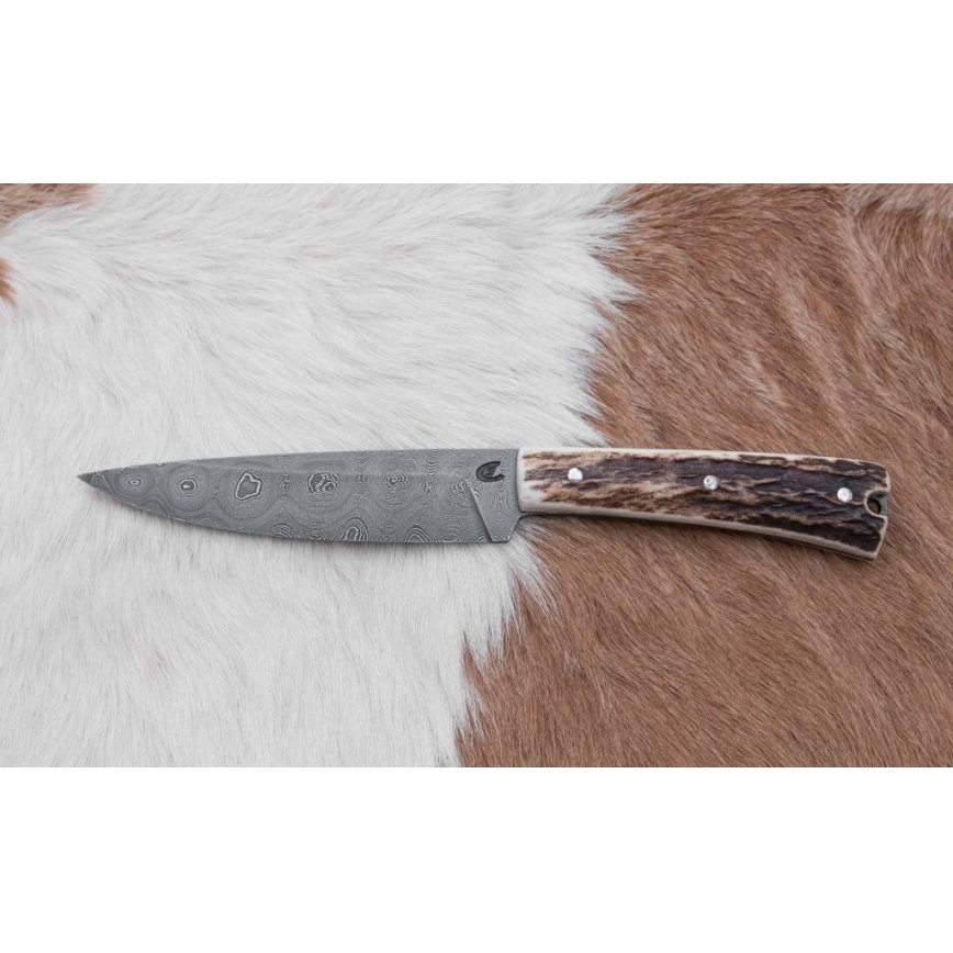 Damask lovački dispatch nož s pilicom 12 cm rog jelena