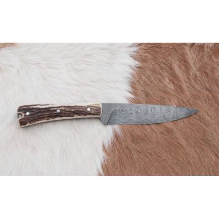 Damask lovački dispatch nož s pilicom 12 cm rog jelena