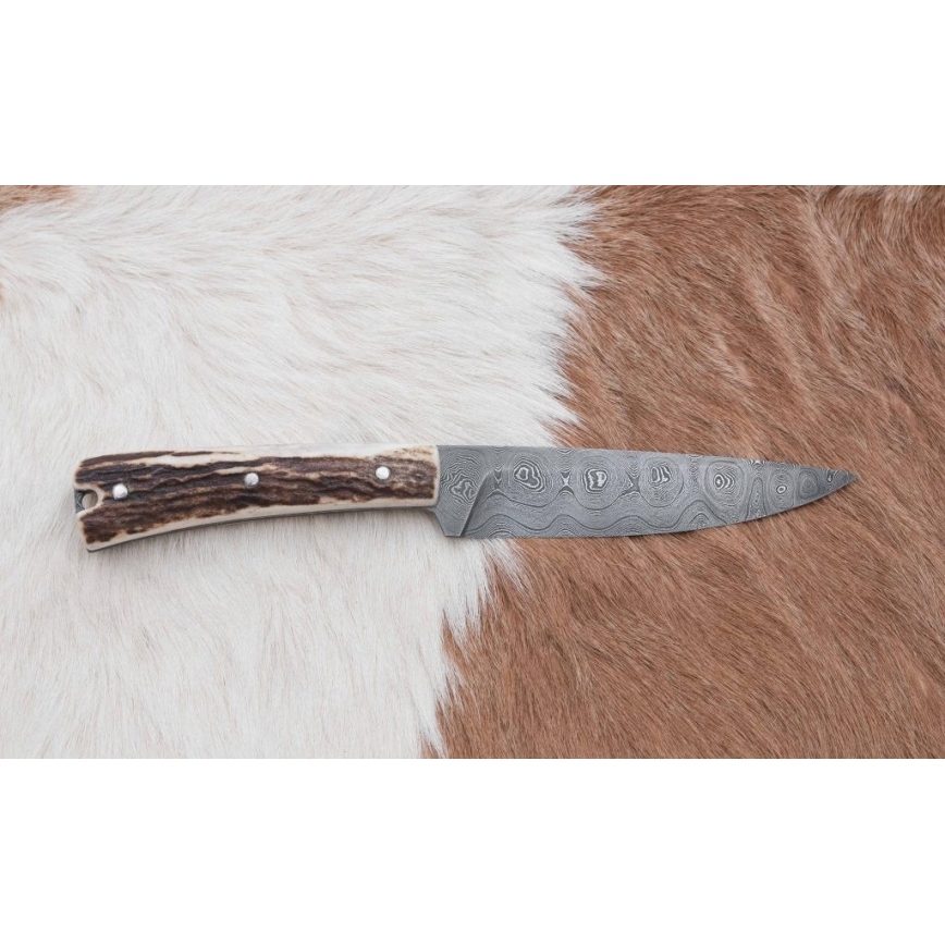 Damask lovački dispatch nož s pilicom 12 cm rog jelena