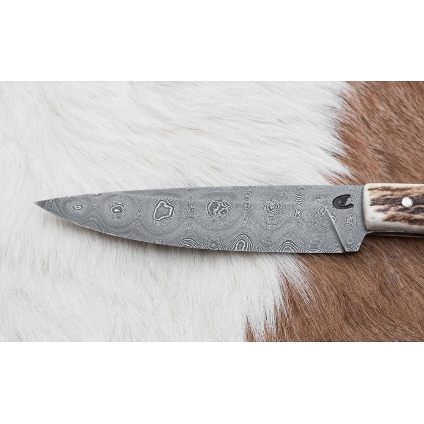 Damask lovački dispatch nož s pilicom 12 cm rog jelena