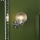 Där Lighting WAY0750 - Kupaonska zidna svjetiljka WAYNE 1xG9/3W/230V IP44 sjajni krom
