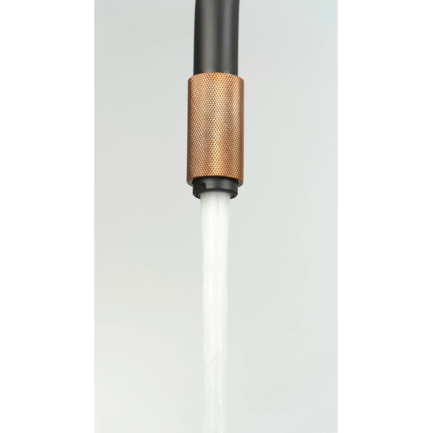 Deante BCA_B64M - Kuhinjska slavina ASTER, crna/mesing