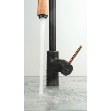 Deante BCA_B64M - Kuhinjska slavina ASTER, crna/mesing