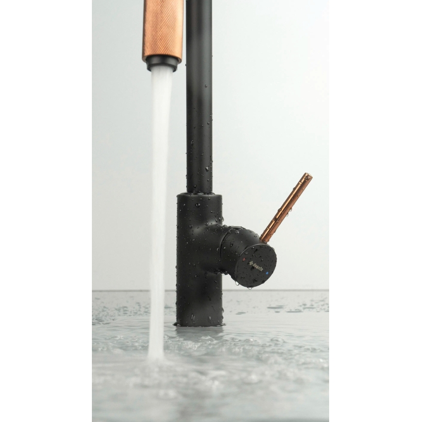 Deante BCA_B64M - Kuhinjska slavina ASTER, crna/mesing