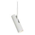 DFTP by Nordlux - Luster na sajli MIB 1xGU10/8W/230V bijela