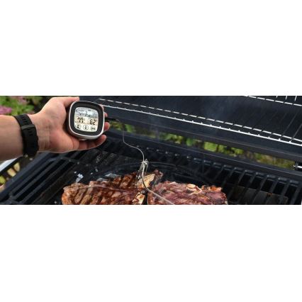 Digitalni termometar za meso sa sondom -20-300°C 2xAAA