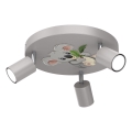 Dječja reflektorska svjetiljka FUN 3xGU10/8W/230V siva/koala