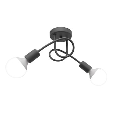 Dječji nadgradni luster OXFORD 2xE27/15W/230V siva