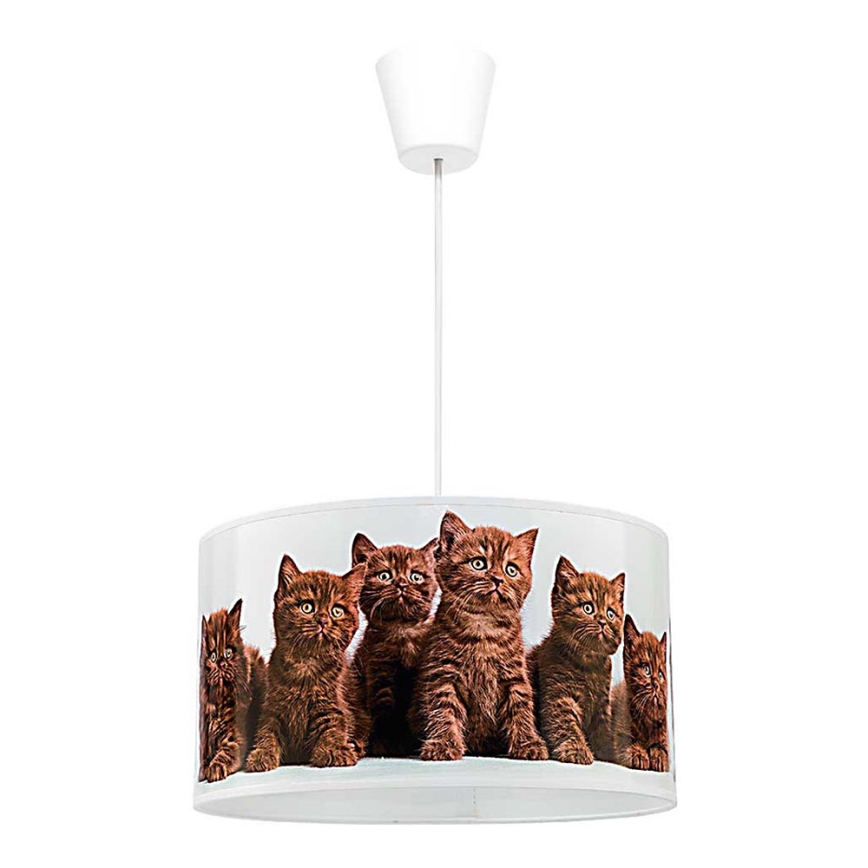 Duolla - Dječji luster na sajli CATS 1xE27/40W/230V pr. 35 cm