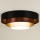 Duolla - LED Stropna svjetiljka LUNETA LED/26W/230V pr. 60 cm 4000K crna/bakrena/bijela