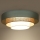 Duolla - LED Stropna svjetiljka LUNETA LED/26W/230V pr. 60 cm 4000K tirkizna/bež/krem