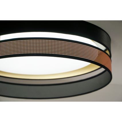 Duolla - LED Stropna svjetiljka ROLLER DUO SHINY LED/24W/230V pr. 45 cm crna/bakrena