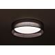Duolla - LED Stropna svjetiljka ROLLER LED/24W/230V antracit