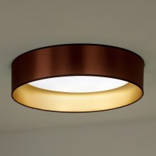 Duolla - LED Stropna svjetiljka ROLLER LED/24W/230V bakrena/zlatna