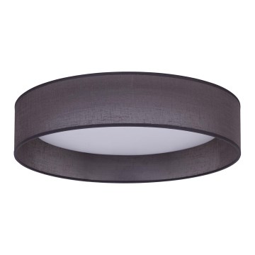 Duolla - LED Stropna svjetiljka ROLLER LED/24W/230V pr. 45 cm antracit