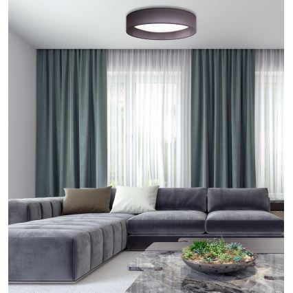 Duolla - LED Stropna svjetiljka ROLLER LED/24W/230V pr. 45 cm antracit