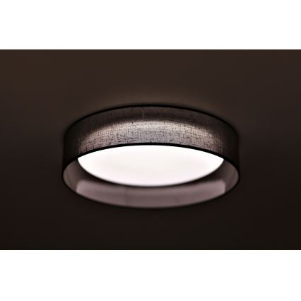 Duolla - LED Stropna svjetiljka ROLLER LED/24W/230V pr. 45 cm antracit