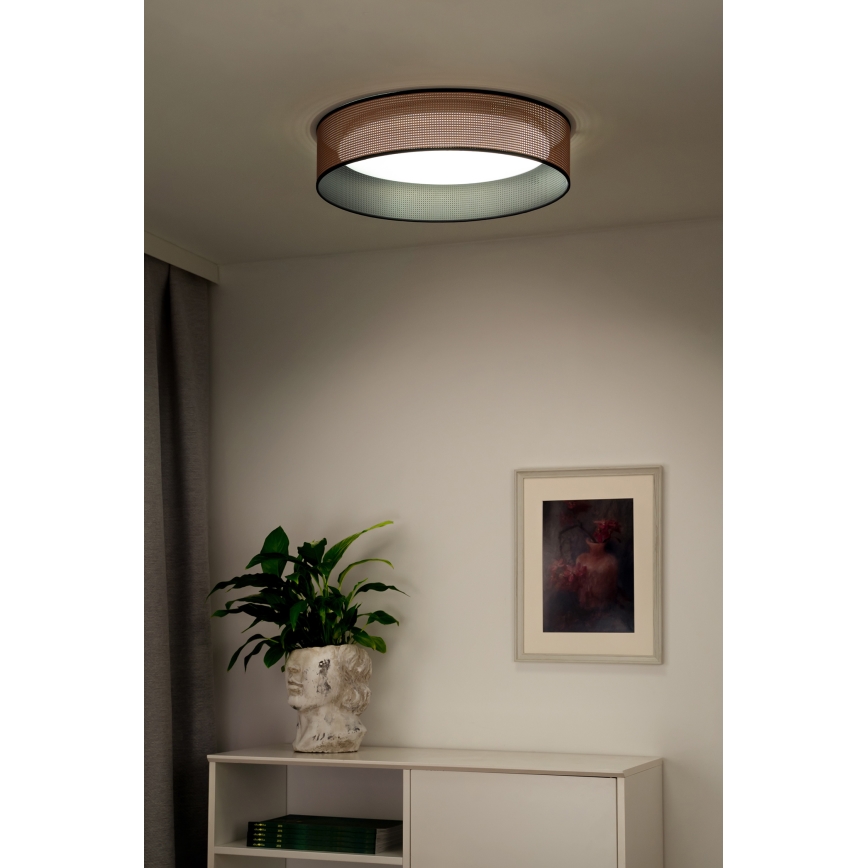 Duolla - LED Stropna svjetiljka ROLLER LED/24W/230V pr. 45 cm bakrena/crna