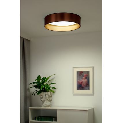 Duolla - LED Stropna svjetiljka ROLLER LED/24W/230V pr. 45 cm bakrena/zlatna