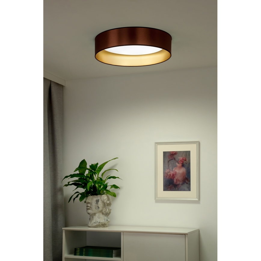 Duolla - LED Stropna svjetiljka ROLLER LED/24W/230V pr. 45 cm bakrena/zlatna