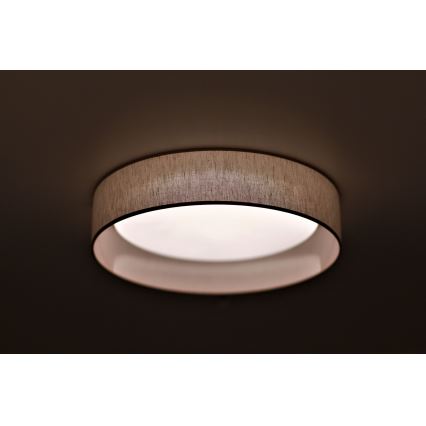 Duolla - LED Stropna svjetiljka ROLLER LED/24W/230V pr. 45 cm bež