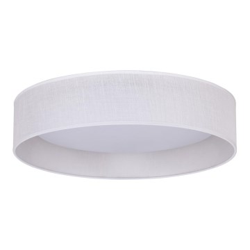 Duolla - LED Stropna svjetiljka ROLLER LED/24W/230V pr. 45 cm bijela