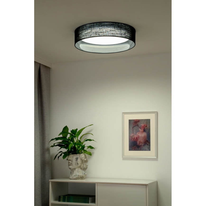 Duolla - LED Stropna svjetiljka ROLLER LED/24W/230V pr. 45 cm crna