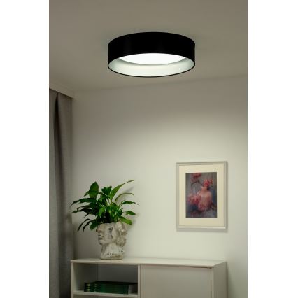 Duolla - LED Stropna svjetiljka ROLLER LED/24W/230V pr. 45 cm crna/srebrna