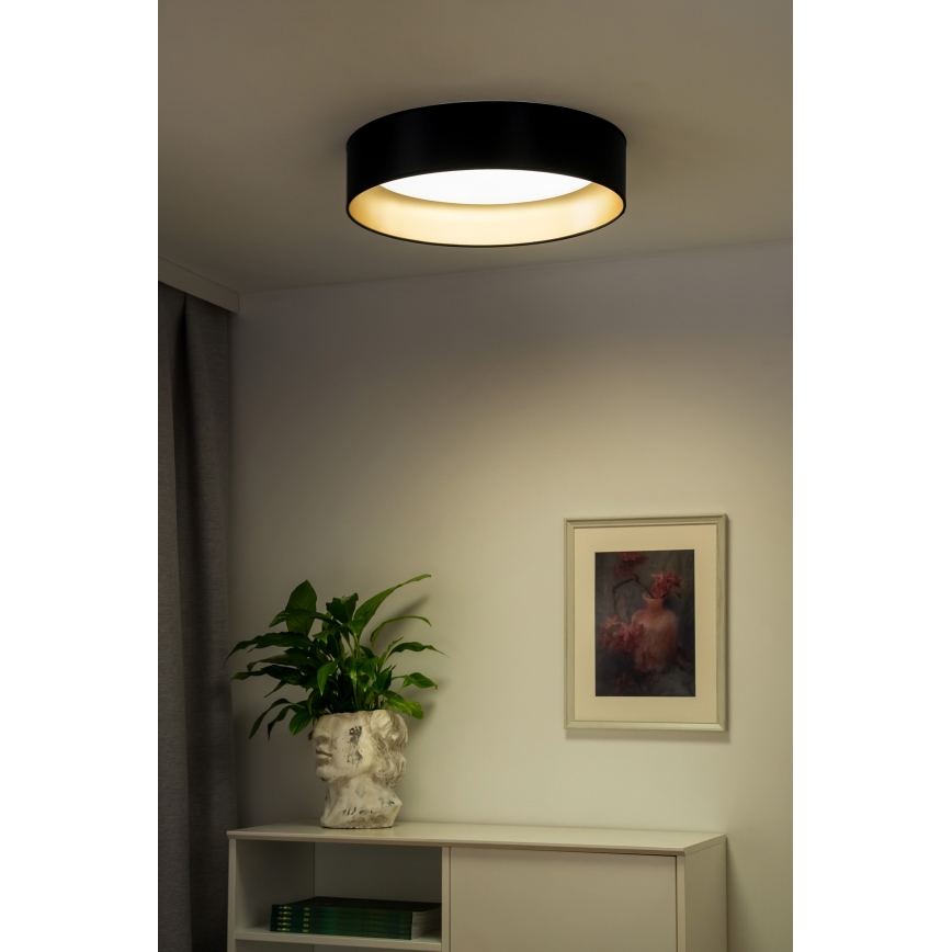 Duolla - LED Stropna svjetiljka ROLLER LED/24W/230V pr. 45 cm crna/zlatna