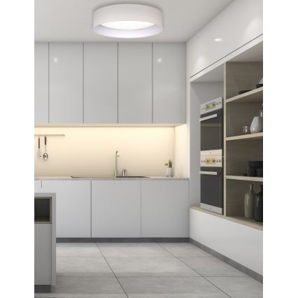 Duolla - LED Stropna svjetiljka ROLLER LED/24W/230V pr. 45 cm krem