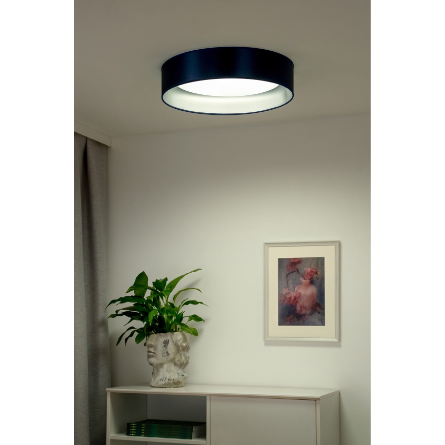 Duolla - LED Stropna svjetiljka ROLLER LED/24W/230V pr. 45 cm plava/srebrna