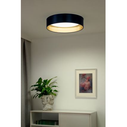 Duolla - LED Stropna svjetiljka ROLLER LED/24W/230V pr. 45 cm plava/zlatna