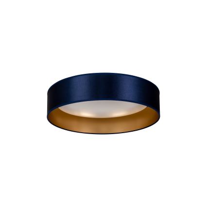 Duolla - LED Stropna svjetiljka ROLLER LED/24W/230V pr. 45 cm plava/zlatna