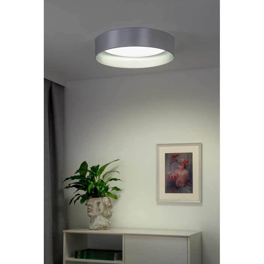 Duolla - LED Stropna svjetiljka ROLLER LED/24W/230V pr. 45 cm srebrna