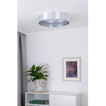 Duolla - LED Stropna svjetiljka ROLLER LED/24W/230V pr. 45 cm srebrna