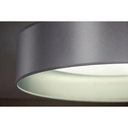 Duolla - LED Stropna svjetiljka ROLLER LED/24W/230V pr. 45 cm srebrna