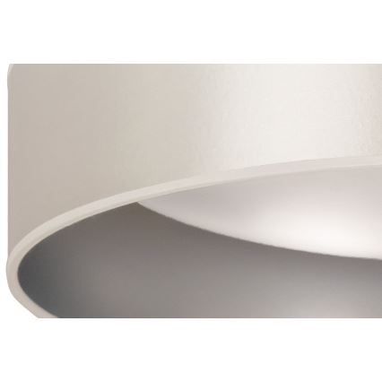Duolla - LED Stropna svjetiljka ROLLER LED/24W/230V pr. 45 cm srebrna