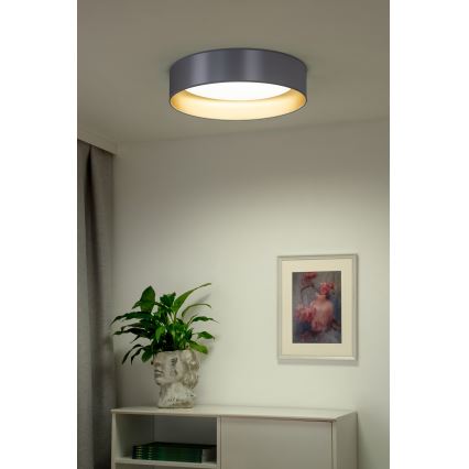 Duolla - LED Stropna svjetiljka ROLLER LED/24W/230V pr. 45 cm srebrna/zlatna